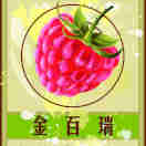 金百瑞食品专营店200428