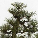 清松便利店180314