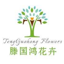 滕国鸿花卉商城180314