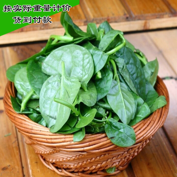 è500g