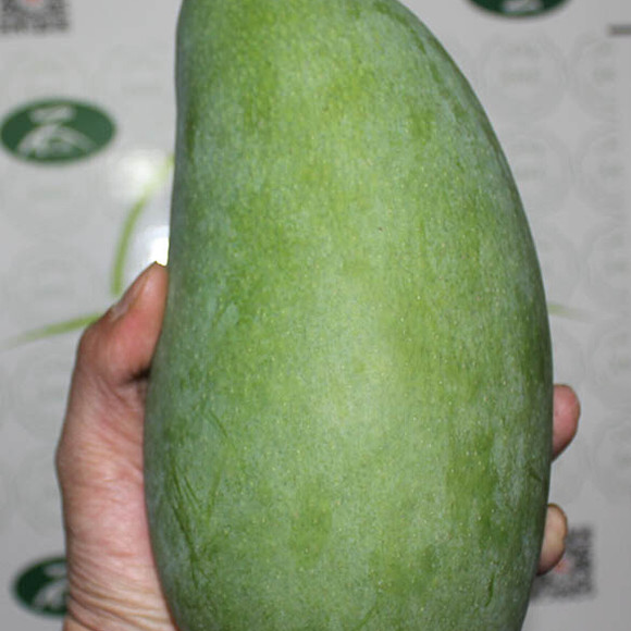 大青芒果怎么放熟-青芒果,怎么才可以放熟