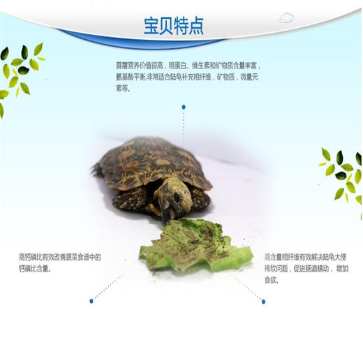 陆龟牧草粉：高营养，防隆背，促便成型 商品图2