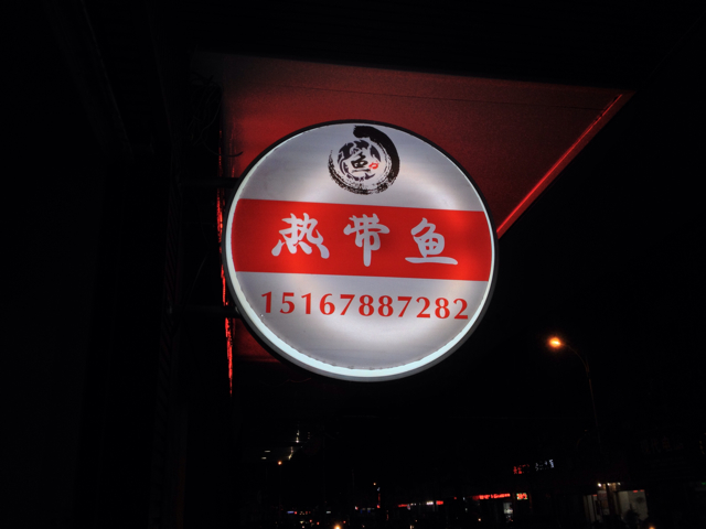 龙港E条鱼水族创意馆