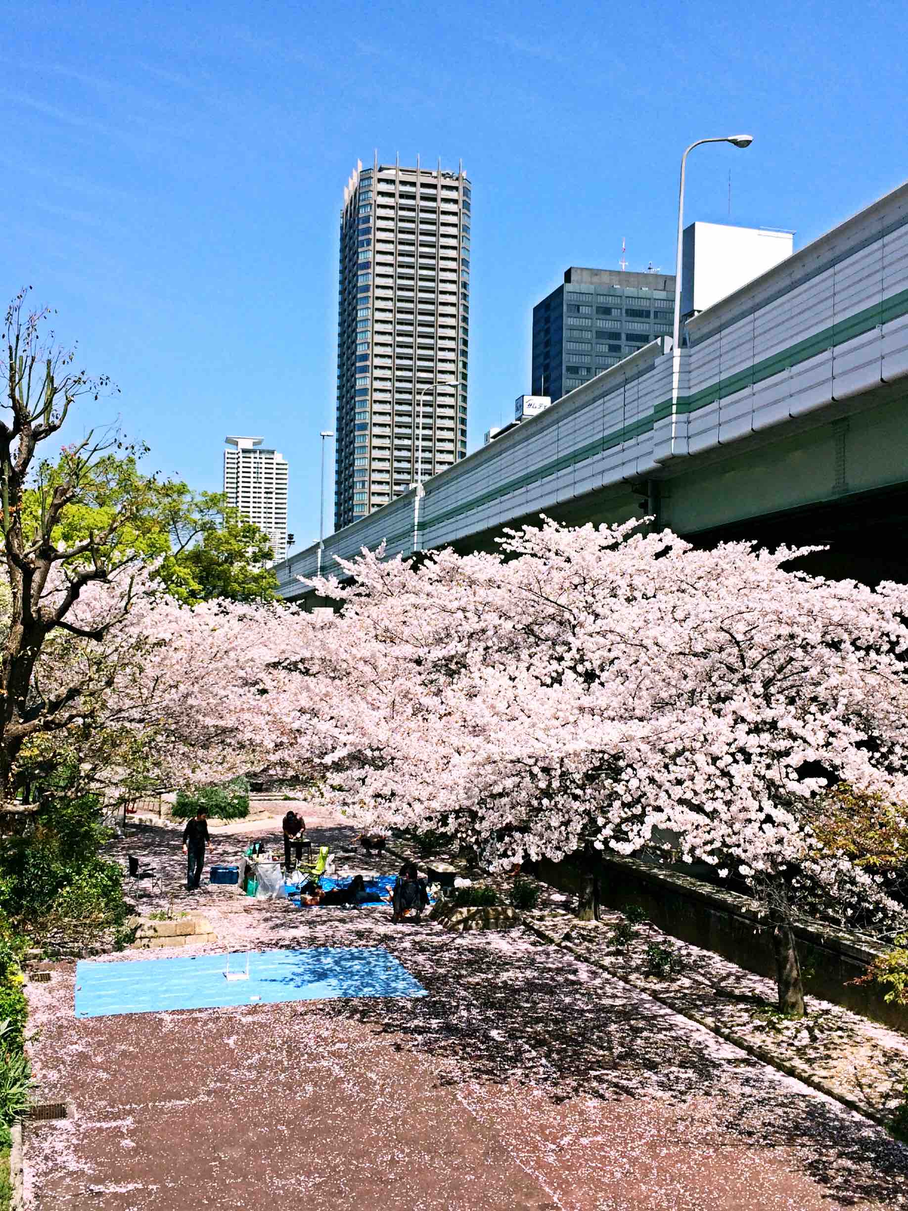 心斎橋〜日本代购180314