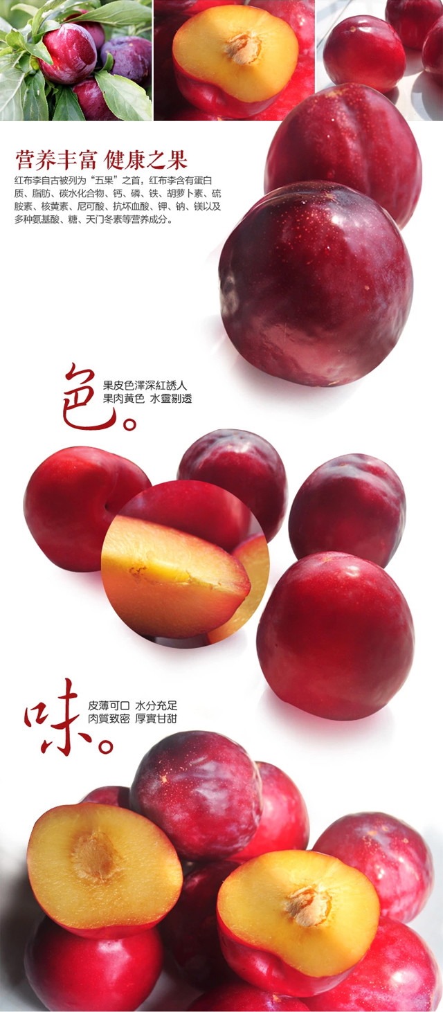 美国进口红布李 黑布李 李子