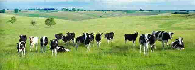 【澳洲代购】180314