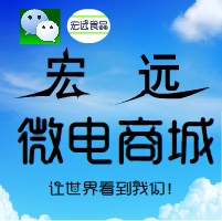 西昌宏远微电商城160807