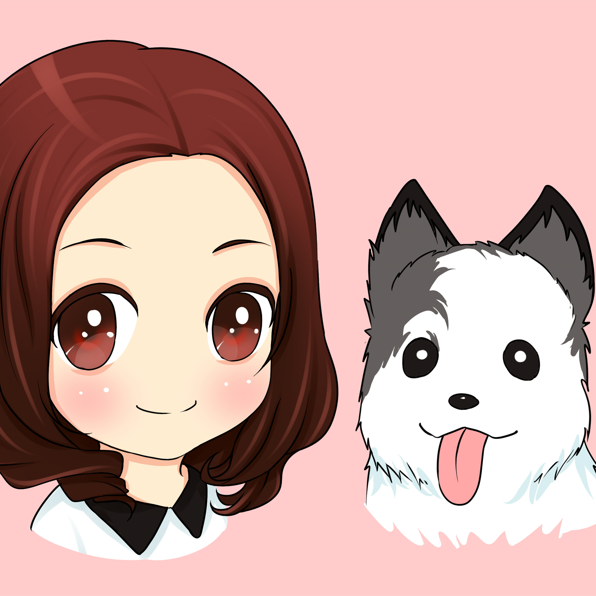 萌宠窝 猫猫HOME180314