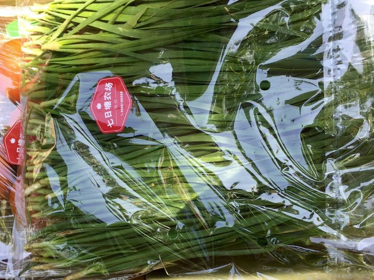 ũ:㶫ʡлݳ ʱ:516251 Ȫũ
