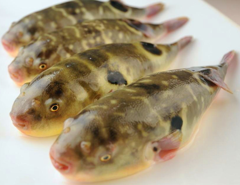 刘兴水产品商行200508