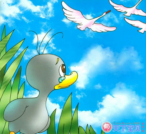 紫云妃蜗牛原液180314