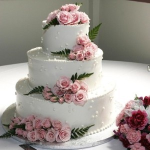 8Ӣ絰жʺϼ˳:8ֱ20cmߴձ6