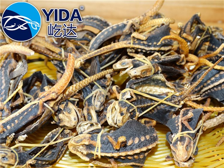 今年海南益智仁干货是多少钱一斤?还有可能上