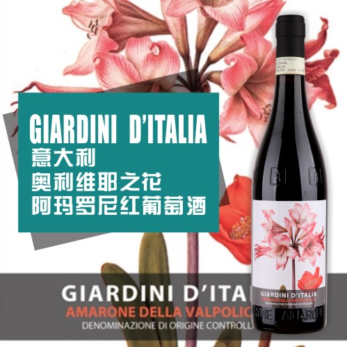 奥利维耶之花阿玛罗尼红葡萄酒