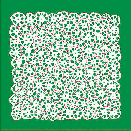 莲花印象10绿白 桑蚕丝斜纹绸丝巾 商品图1