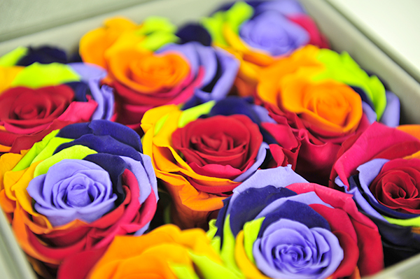厄瓜多尔进口七彩永生彩虹玫瑰roseonly定制花盒戒指求婚首饰礼盒