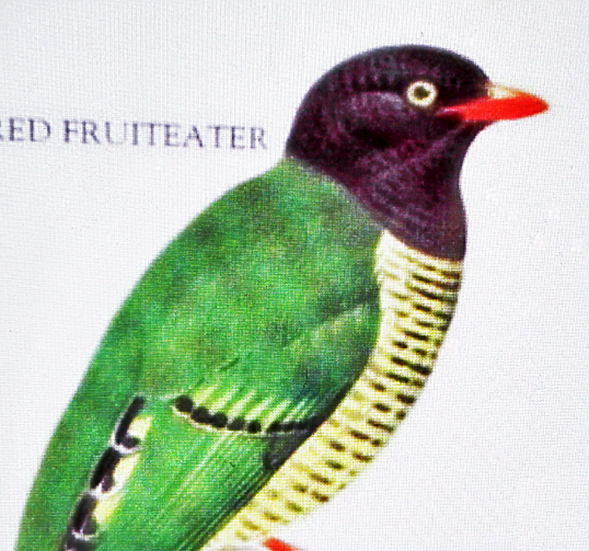 家仙子家居精品廊200508