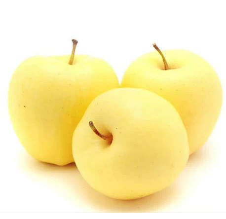 〔雪山白苹果〕金帅的最佳替代品7.8元/斤,一斤2个,多