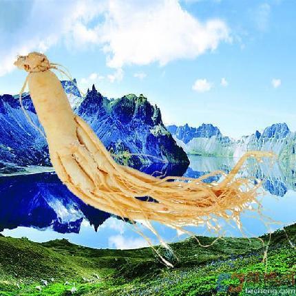 长白山特产品180315