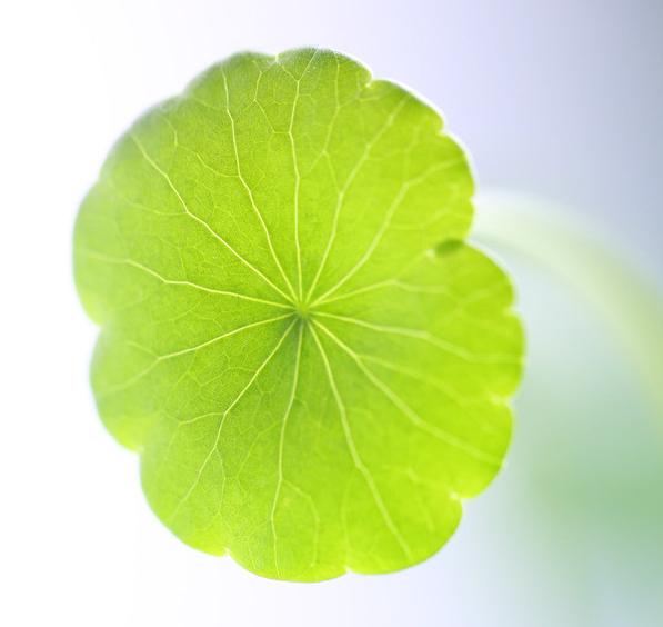 春天花花同学会180315