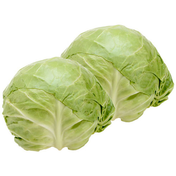 (Բ,ʵ,ֱԼ-18cm,ȥҶ,ϲ.