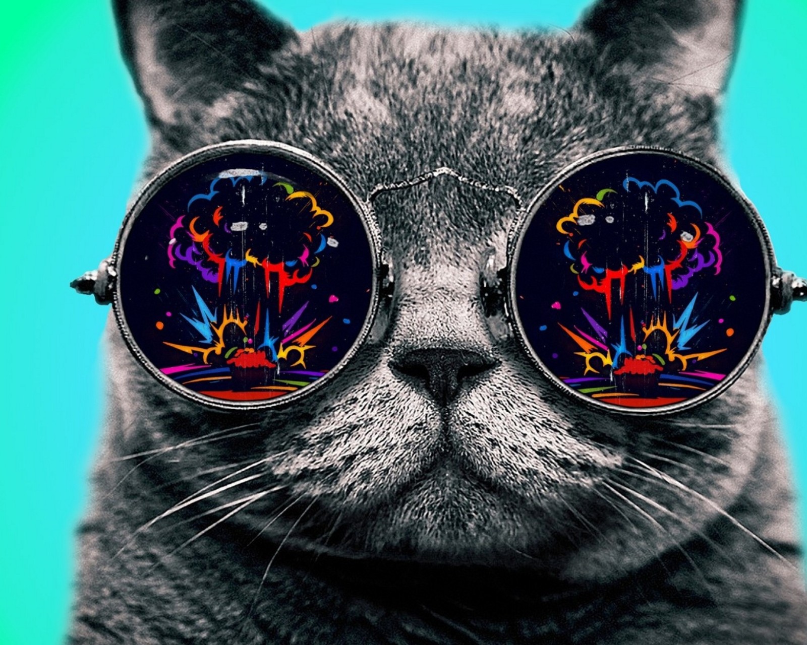 创意猫丨创意生活 用品180315