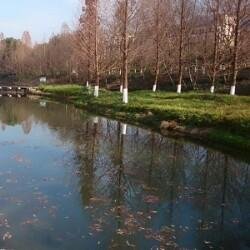 全民游俱乐部180315