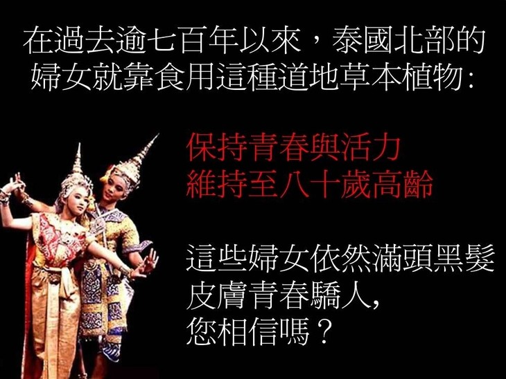 泰国白野葛根丰胸精油美丰盈加盟