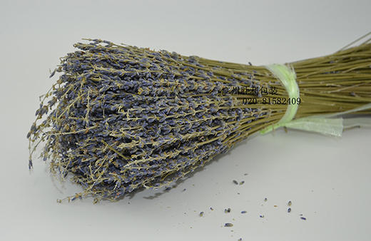 薰衣草，不包邮 商品图0
