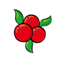 100tiger 杨梅店160831