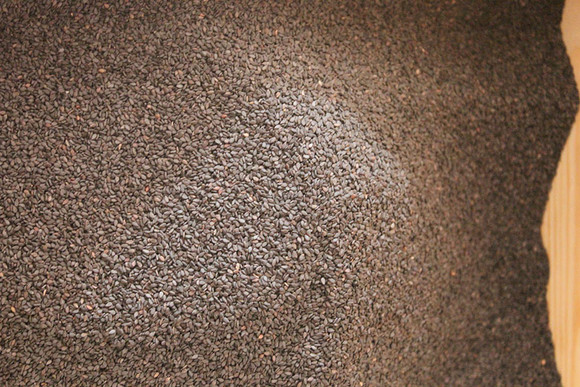 今天买了一斤黑芝麻.八块钱一斤.炒了吃感觉有