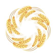 农夫麦场特产城180315