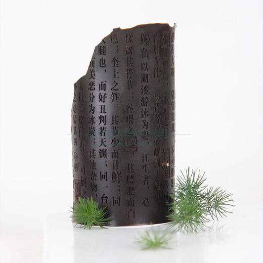 巧克力塑性模具 品味随园模具 商品图2