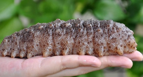 亲水水产品全球购180315