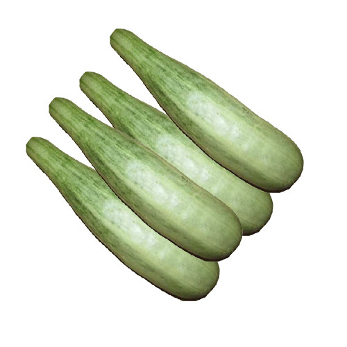   ,֭Ʒ