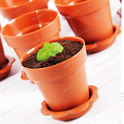 造景者®创意盛器 分子菜品盛器 花盆器皿  小盆栽  分子美食盛器 【10只装】 商品图1