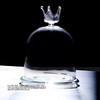 100%玻璃精制烟熏罩，烟熏绝配，分子盛器 烟熏罩 商品缩略图0