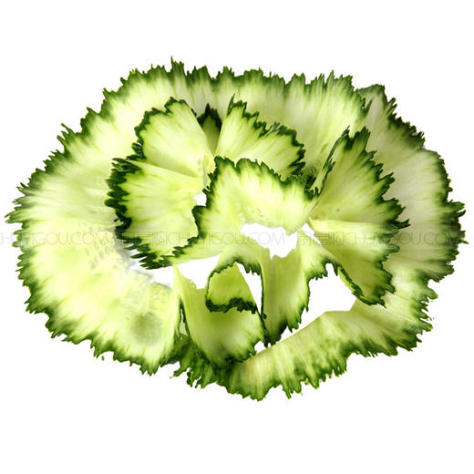 旋花刀2S 黄瓜旋花 胡萝卜旋花 莴笋旋花 商品图4
