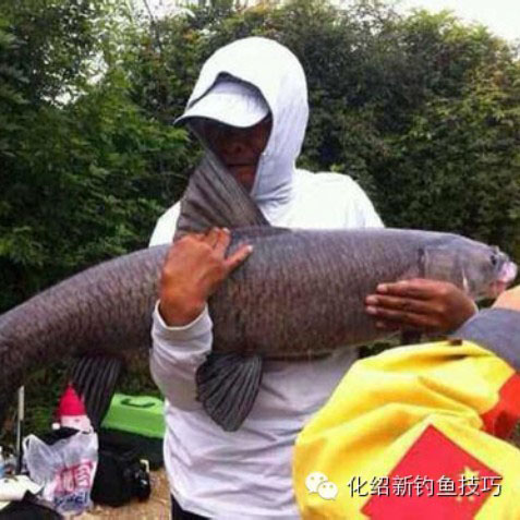 渔具微商城161013