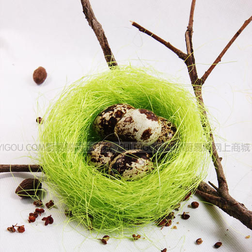 五香蛋鸟巢 鸟巢 意境菜五香蛋盘饰【10只装】 商品图3