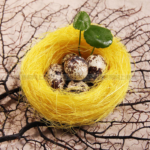 五香蛋鸟巢 鸟巢 意境菜五香蛋盘饰【10只装】 商品图0