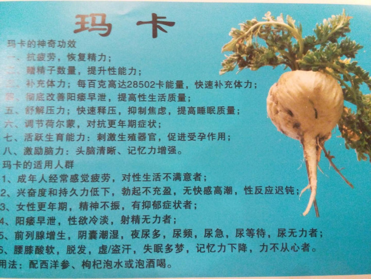 多食用玛卡有益脑的作用,对于在校努力学习的学生,办公室用脑比较频繁