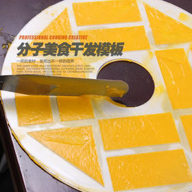 干发机模板，进口专业脱干机模版 干发机造型模板，分子美食薄脆模板，分子干发工具，干发模板【五片装】