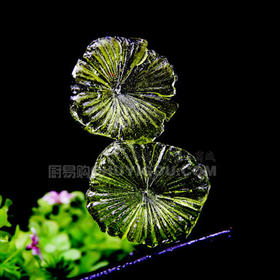 正辉糖艺压花模具ZH011