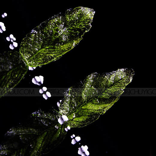 正辉糖艺压花模具ZH002 商品图5