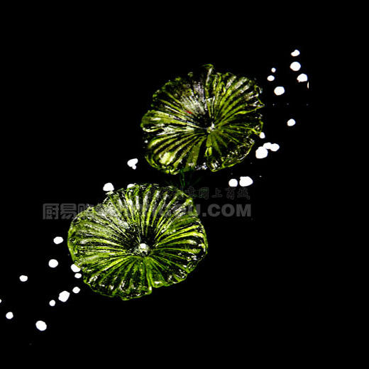 正辉糖艺压花模具ZH011 商品图2