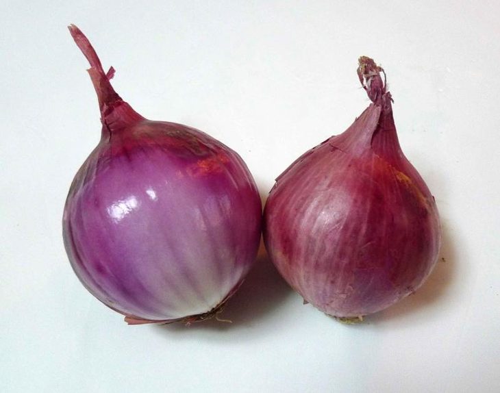 FgNn2LCPCCSa5eRpNnDpX63Q8pEm.jpg%21730x0.jpg