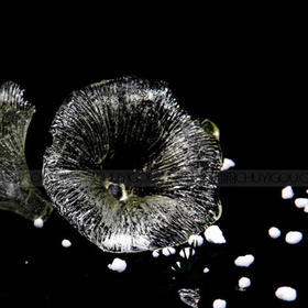 正辉糖艺压花模具ZH023