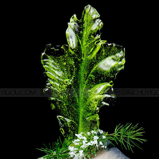 正辉糖艺压花模具ZH022 商品图0