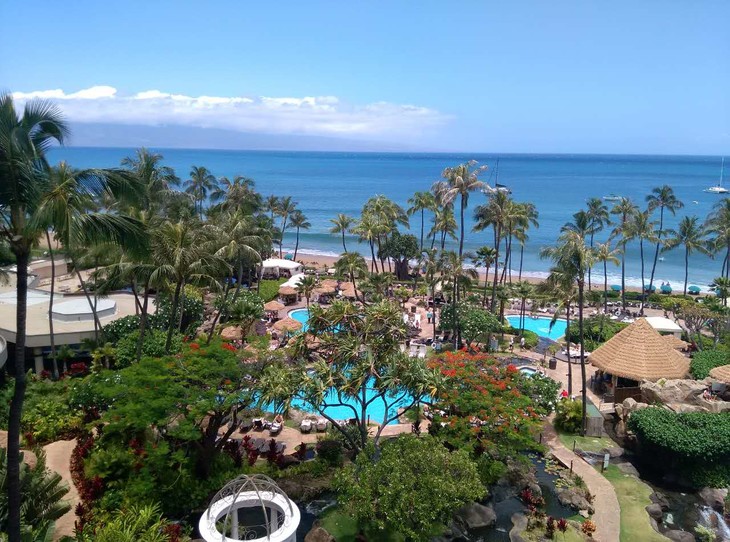 华少加入WV梦幻旅游没有?